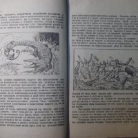 Книга "В царството на животните.Крокодил-9-Г.Дражев"-176стр., снимка 3 - Художествена литература - 35572653