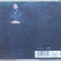Ice T – VI: Return Of The Real (1996, CD) , снимка 2 - CD дискове - 37404278