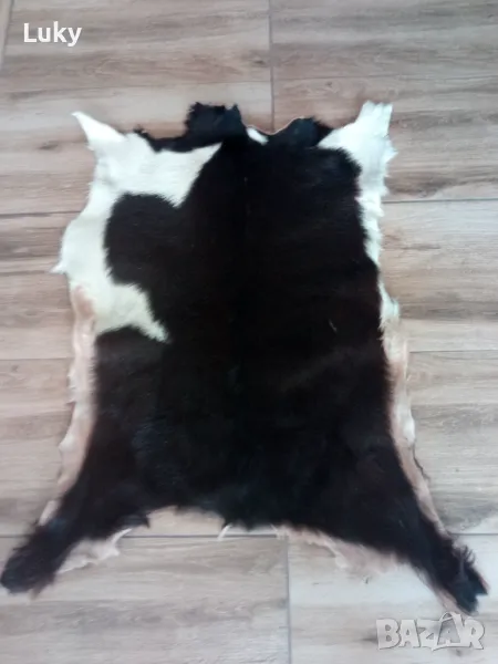 Прекрасна,естествена и екзотична козя кожа, снимка 1