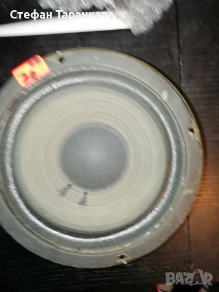 Басов Говорител, снимка 1