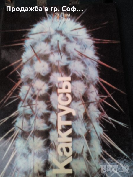 Кактус книга, снимка 1