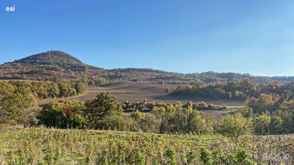 100 ЛВ/ДКА - Земеделски Земи в област Варна, снимка 1