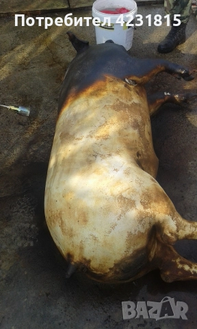 вкусотии, снимка 7 - Други стоки за дома - 52697556