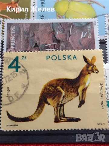 Пощенски марки смесени от цял свят ЖИВОТНИ за КОЛЕКЦИЯ 22615, снимка 10 - Филателия - 40344342