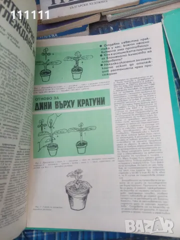 Списание лично и помощно стопанство от предишни времена , снимка 13 - Списания и комикси - 49466689