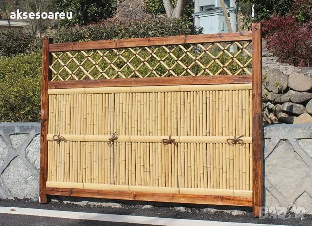 100 броя семена от декоративен бамбук Moso Bamboo зелен МОСО БАМБО за декорация и дървесина, снимка 4 - Сортови семена и луковици - 37711749