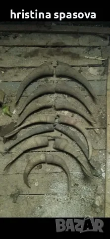 Кози рога голямо разнообразие , снимка 2 - Антикварни и старинни предмети - 55994372