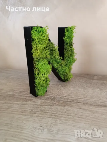 ЕЛИ/НЕЛИ със скандинавски мъх , снимка 7 - Изкуствени цветя - 47473801