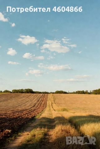 Продавам поземлен имот в землището на с. Мусачево, град София 13.1 дка на 600м от потбалкански път., снимка 9 - Земеделска земя - 51836726