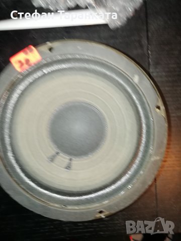 Басов Говорител, снимка 1