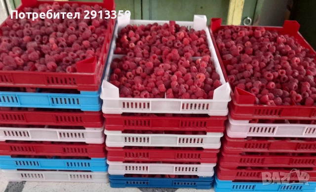 Селска къща село Баячево, снимка 2 - Къщи - 54242247