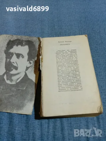 Антонио Фогацаро - Маломбра , снимка 4 - Художествена литература - 56507760