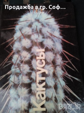 Кактус книга, снимка 1