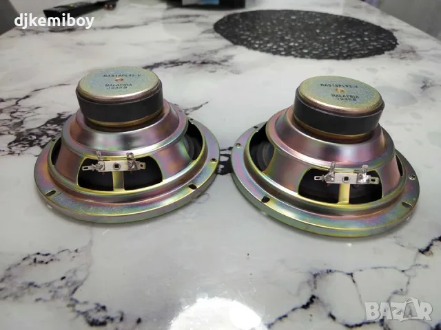 technics ras16pl03-v говорители, снимка 4 - Аудиосистеми - 56440106