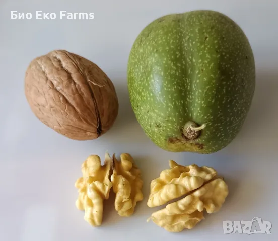 Домашно сирене , кашкавал, масло , мляко , снимка 8 - Домашни продукти - 56135806
