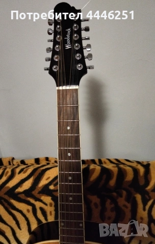 Продавам електро акустична 12 струнна китара Woodstock , снимка 3 - Китари - 53974759
