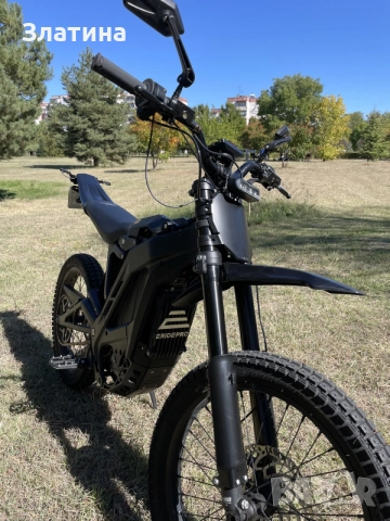 ЕЛЕКТРИЧЕСКИ МОТОР E-RIDE PRO, снимка 2 - Аксесоари и консумативи - 56346040
