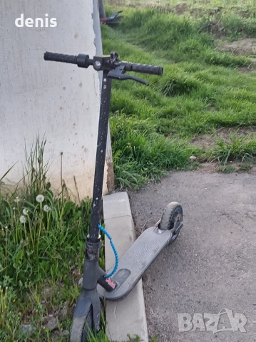 Ел тортинетка