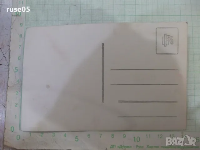 Снимка стара на три жени в градината - 1, снимка 2 - Колекции - 48001522