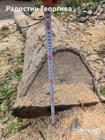 Орехов материал , снимка 5 - Дърводелски услуги - 47989955