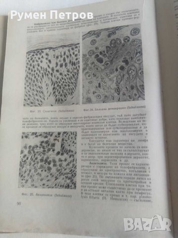 Дерматология и венерология, снимка 3 - Специализирана литература - 31636141