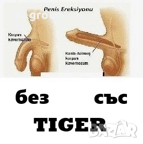  епимедиум маджун  Тiger x2, снимка 2 - Други стоки за дома - 50311080