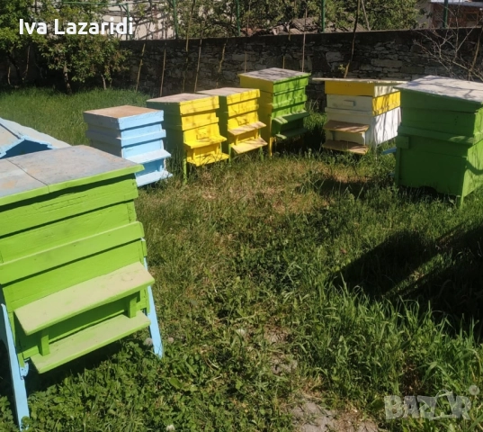 Пчелни кошери нови, снимка 1