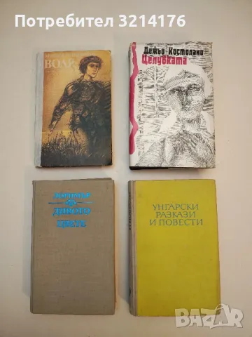 Сините мълнии - Александър Кулешов, снимка 3 - Художествена литература - 50189712