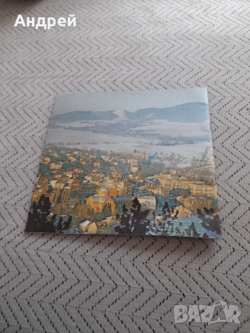 Книга Брезник, снимка 4 - Специализирана литература - 53237303