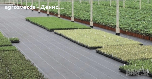 Зебло против плевели, снимка 2 - Други - 53331069