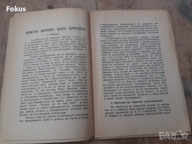 Стара царска книжка книга Христо Ботев критик, снимка 4 - Антикварни и старинни предмети - 54295115