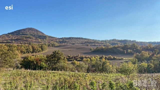100 ЛВ/ДКА - Земеделски Земи в област Варна