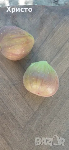 Смокини-едри и сладки, снимка 3 - Домашни продукти - 55791032