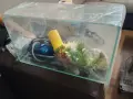 9л Аквариум чисто нов с аксесоари, снимка 1