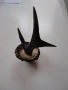 Рог рога закачалка , снимка 7
