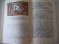Книга "Пчелица - Анатол Франс" - 104 стр., снимка 6