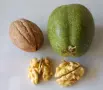 Домашно сирене , кашкавал, масло , мляко , снимка 8