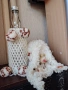 Ръчно плетена декорация пудел, снимка 3