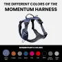 No-Pull кучешки колан-обезопасителен harness с предна и задна приставка за поводка, регулируем, снимка 2