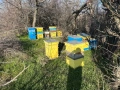 пчелни кошери, снимка 5