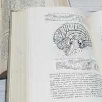 Анатомия на човека - Атлас на Карданов, комплект, снимка 4 - Специализирана литература - 42222037