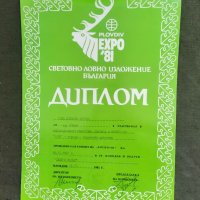 Продавам Диплом Expo '81 Пловдив Златен медал дратхаар, снимка 1 - Антикварни и старинни предмети - 35617090