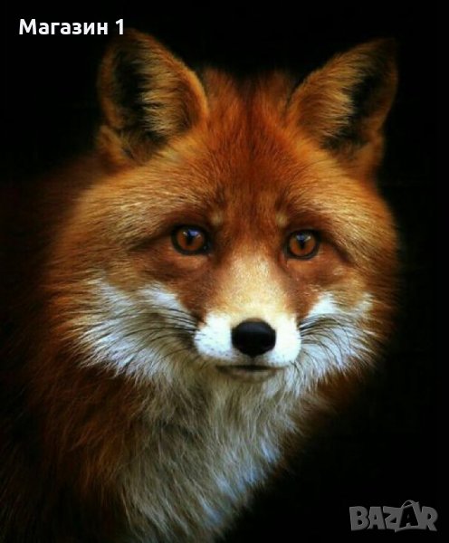 ДИАМАНТЕН ГОБЛЕН код А2"ЛИСКО"  , снимка 1