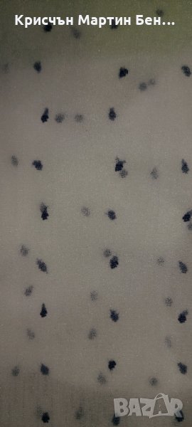 Бял чорпогащник на точици , снимка 1