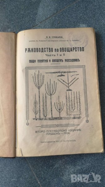 Ръководство по овощарство част от 1 до 4 и 6 част, Практическо ръководство по лозарството  1924год., снимка 1