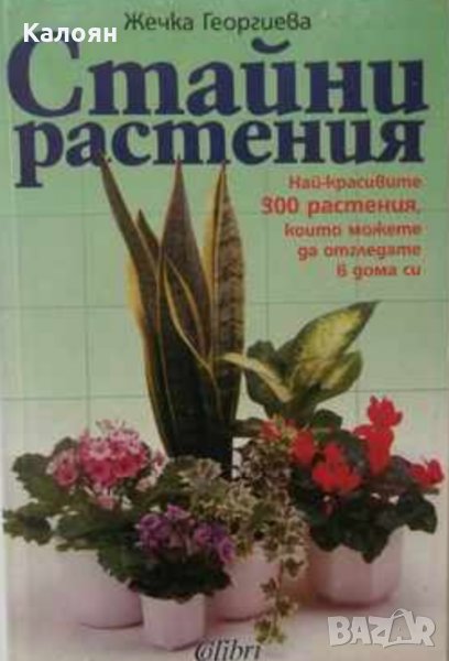 Жечка Георгиева - Стайни растения, снимка 1