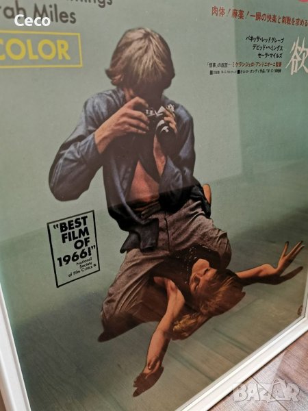 Ретро Vintage Постер с размер 50/70 на филма Blow Up на Микеланджело Антониони от 1966г. Рамка Ikea, снимка 1