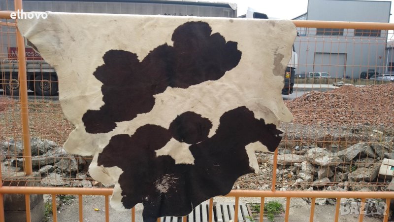 Kравешка кожа, снимка 1