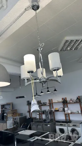 Полилей , снимка 1