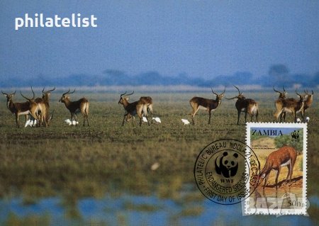 Замбия - 1987 - 4 броя Карти Максимум - WWF, снимка 4 - Филателия - 38843749